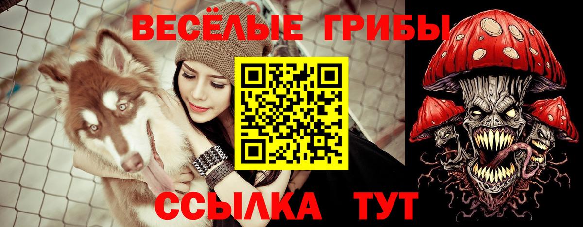 Бузулук  Псилоцибиновые грибы GOLDEN TEACHER  Вход с VPN 